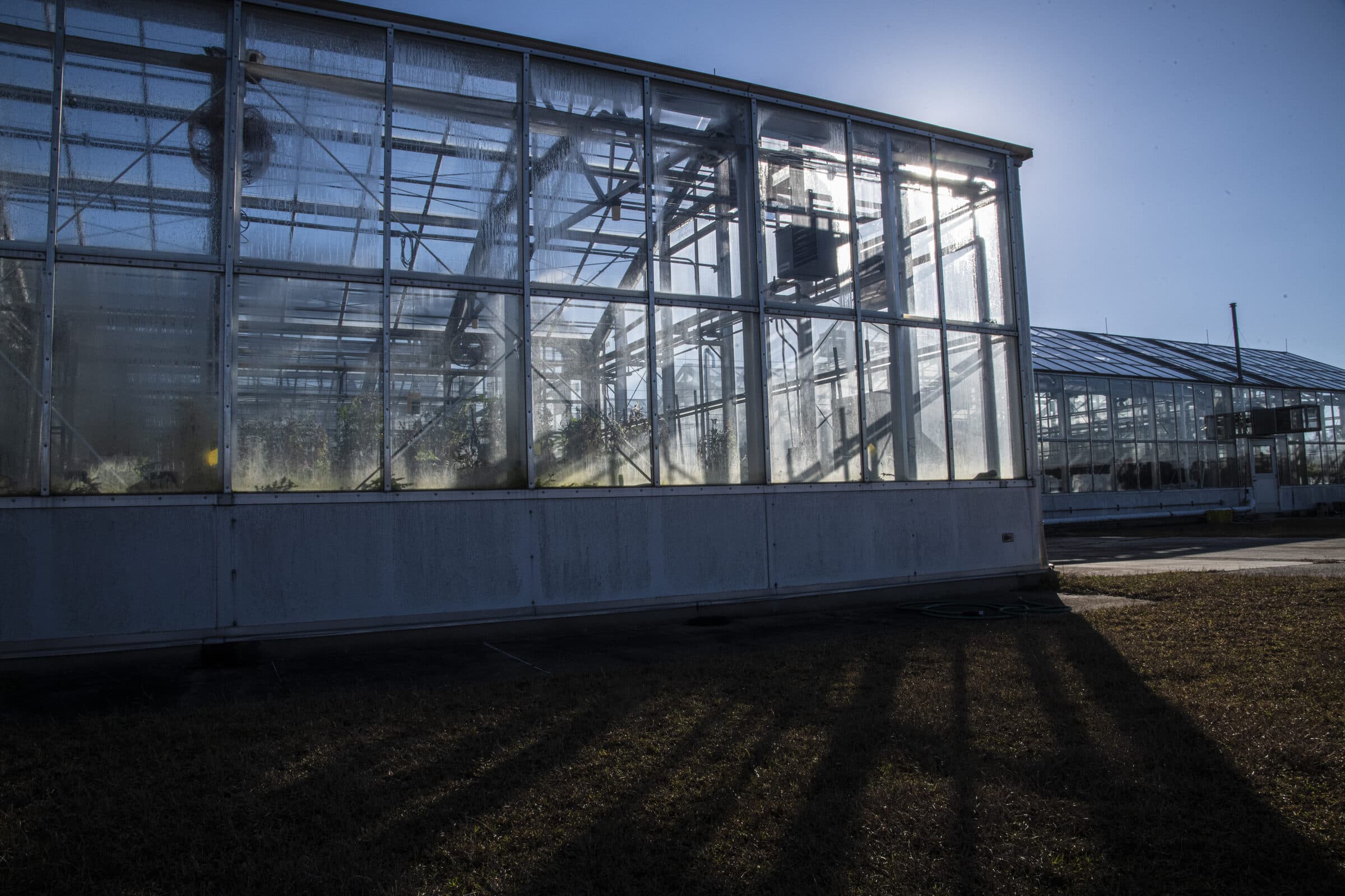 Glass greenhouse buildings at an agricultural research facility