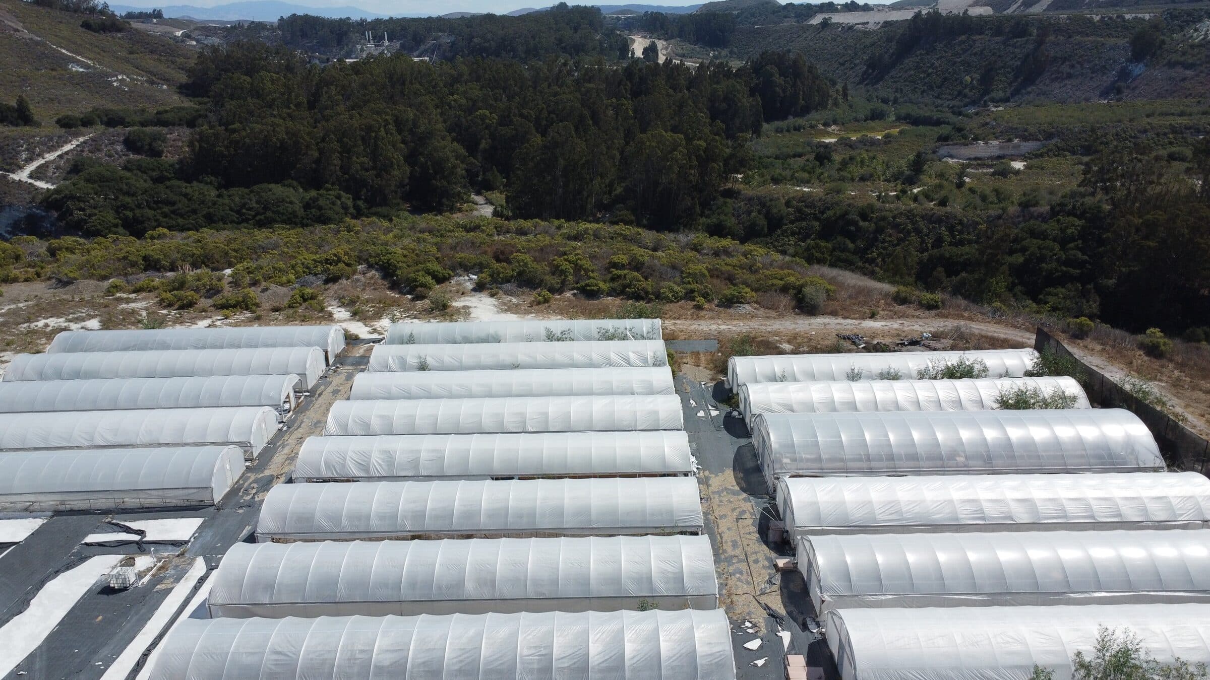 Rows of hoop greenhouses on a hillside, seen from above